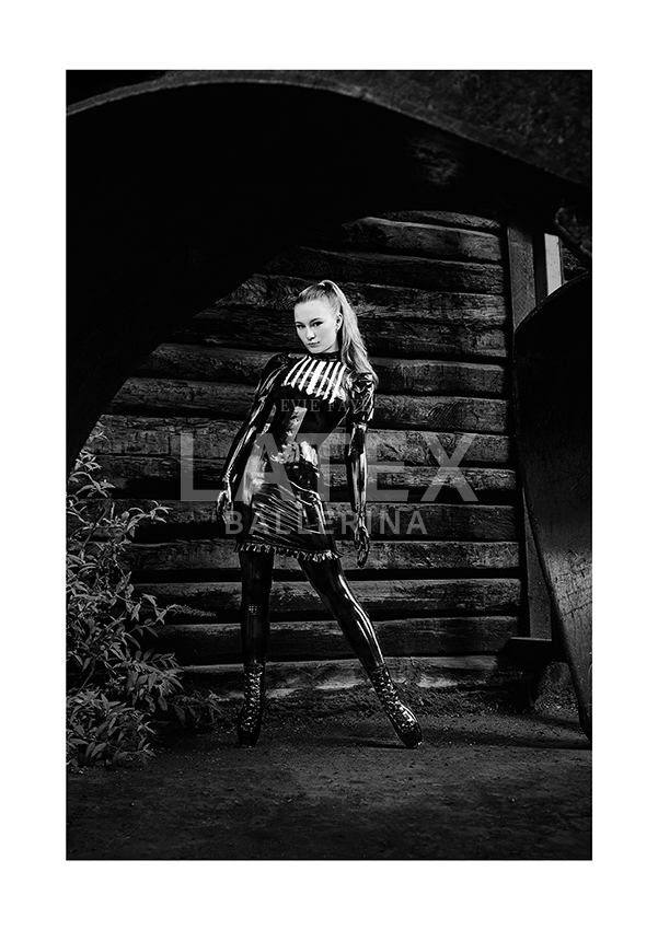 Signed Print "Shadows and Shine"