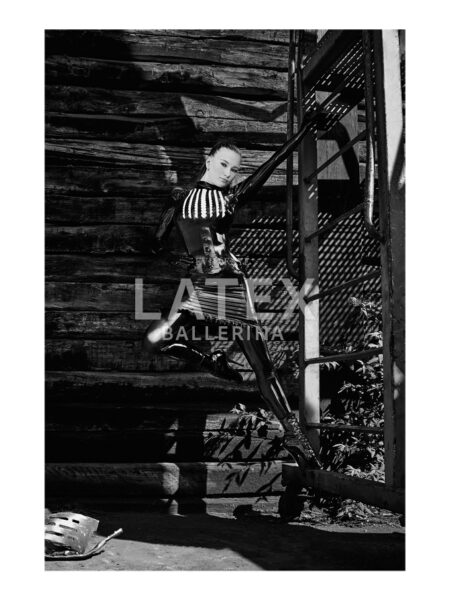 Signed Print "Swing and Shine"