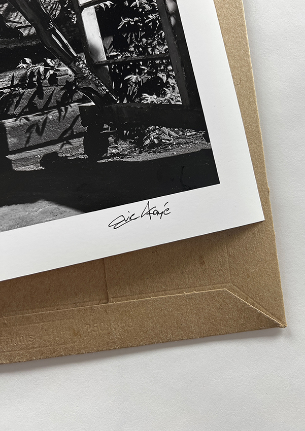 Signed Print "Swing and Shine" - Image 3